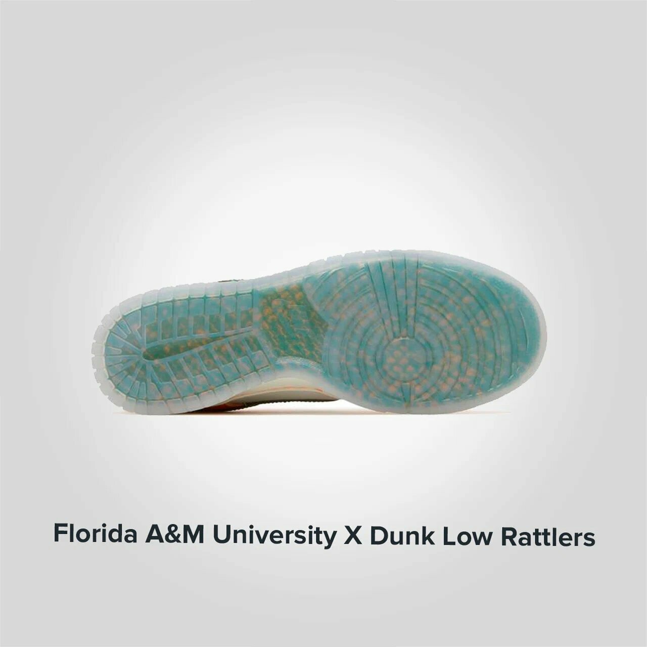 Nike Florida A M University X Dunk Low Rattlers