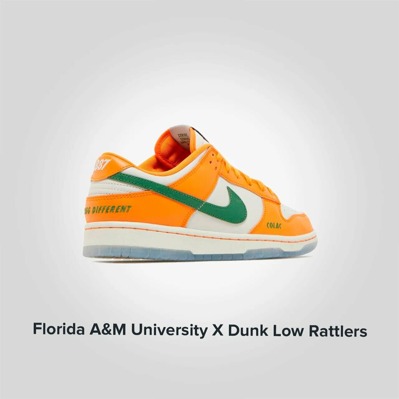 Nike Florida A M University X Dunk Low Rattlers