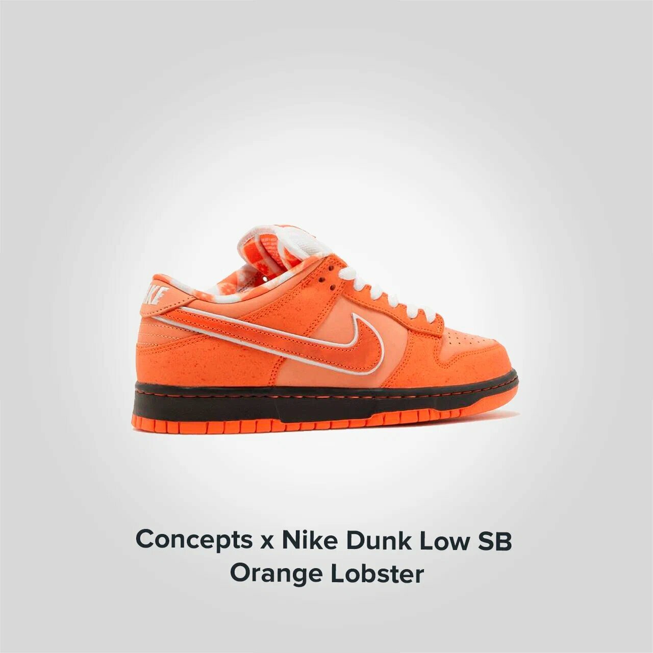 Concepts X Dunk Low SB Orange Lobster