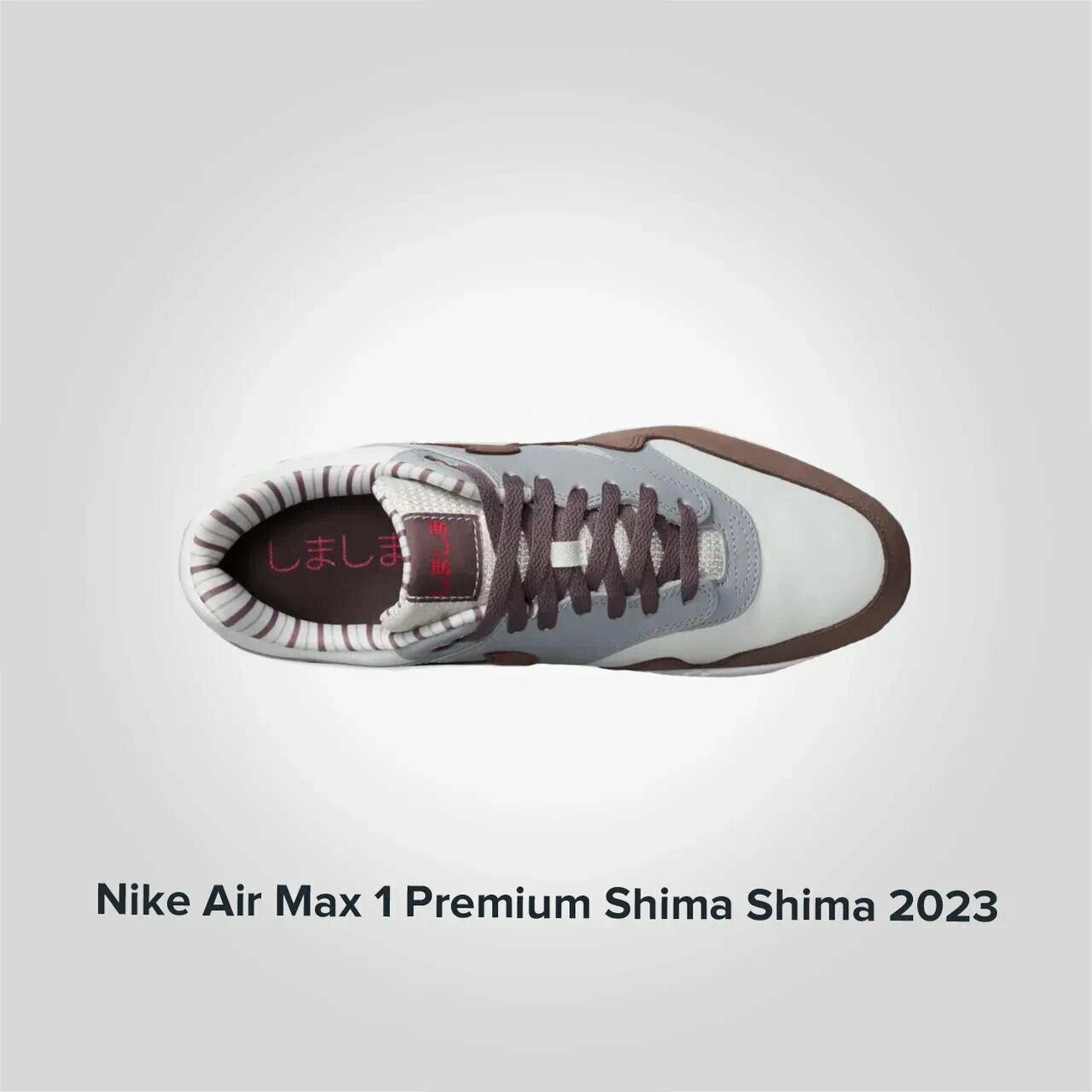 Nike Air Max 1 Premium Shima Shima 2023