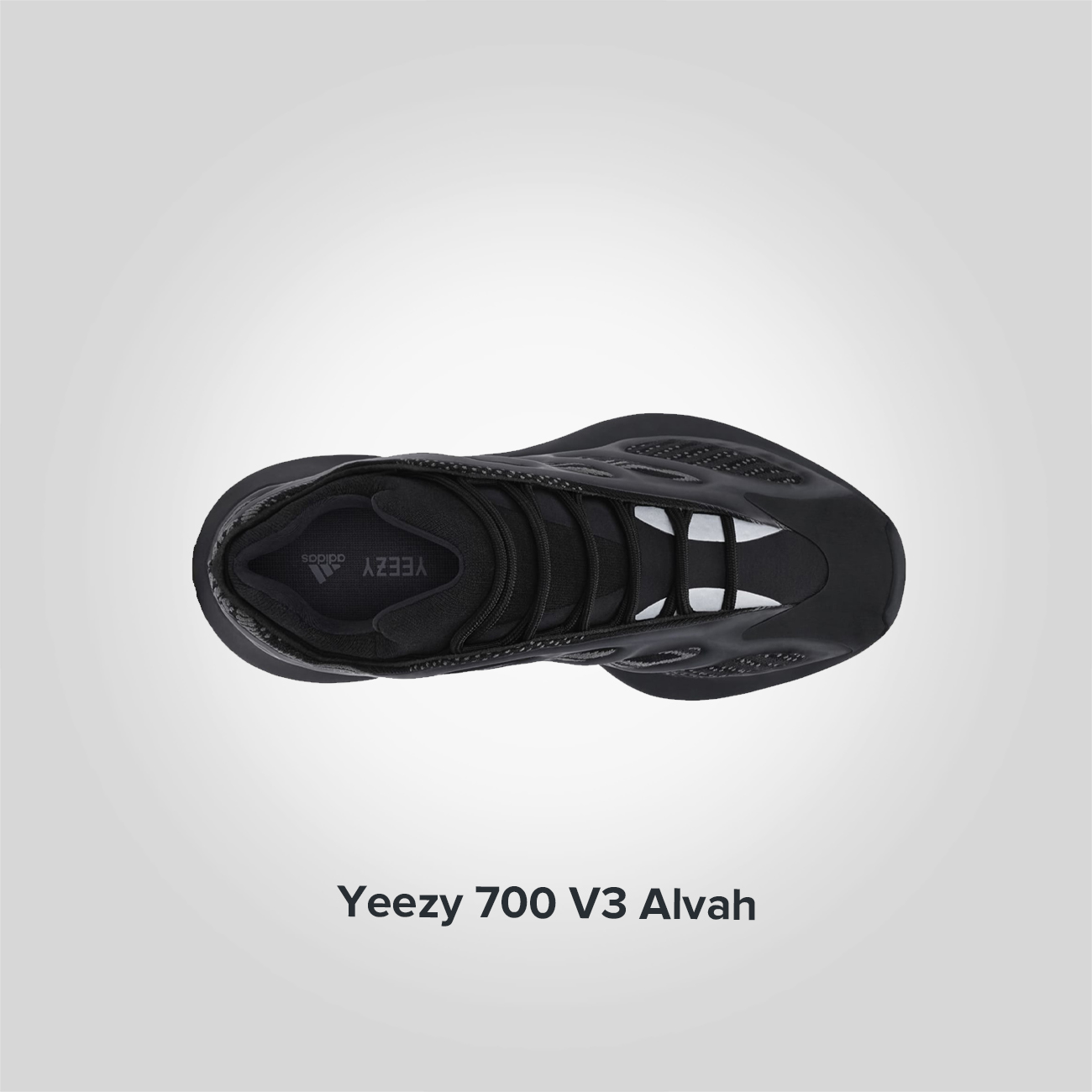 Yeezy 700 V3 Alvah