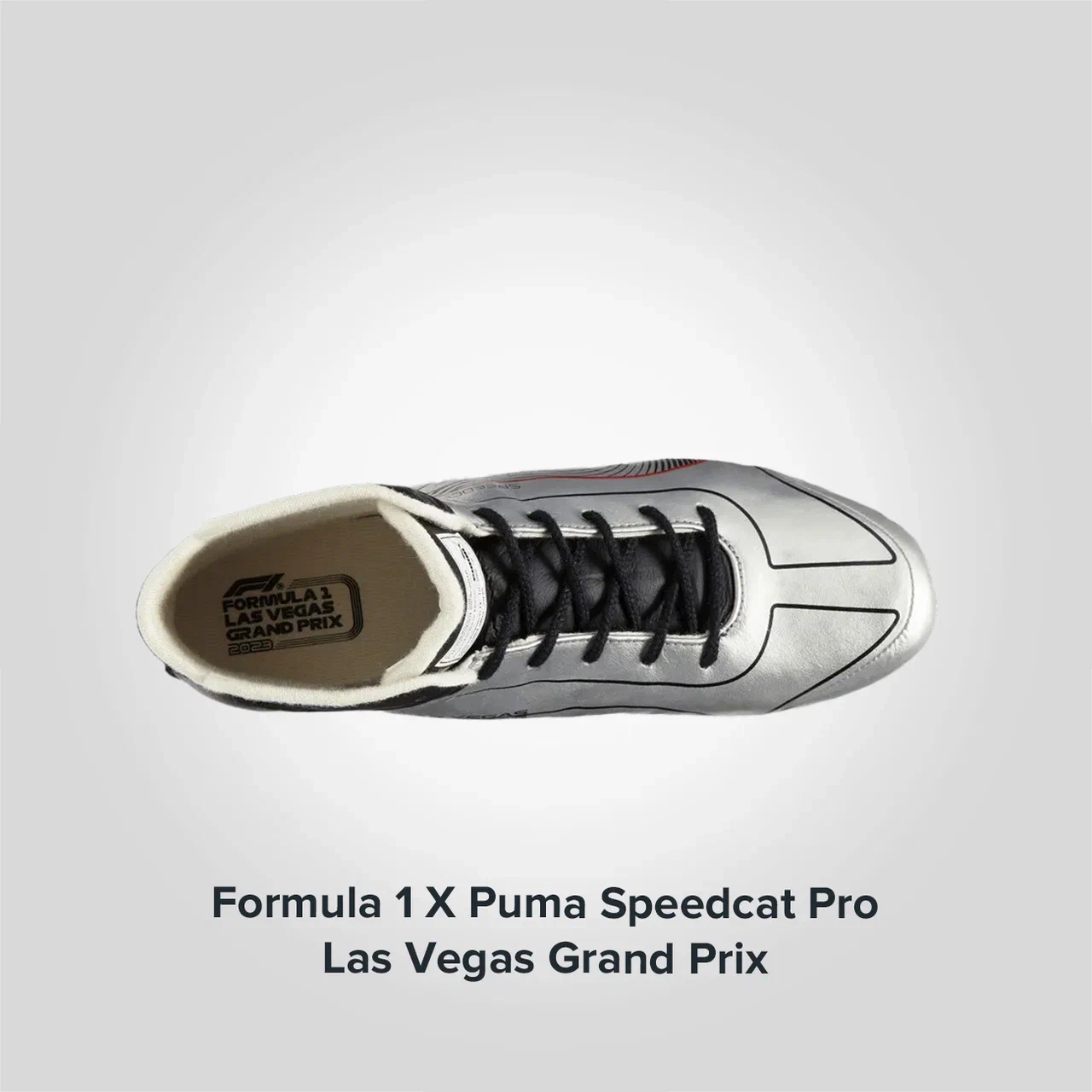 Formula 1 X Speedcat Pro Las Vegas Grand Prix