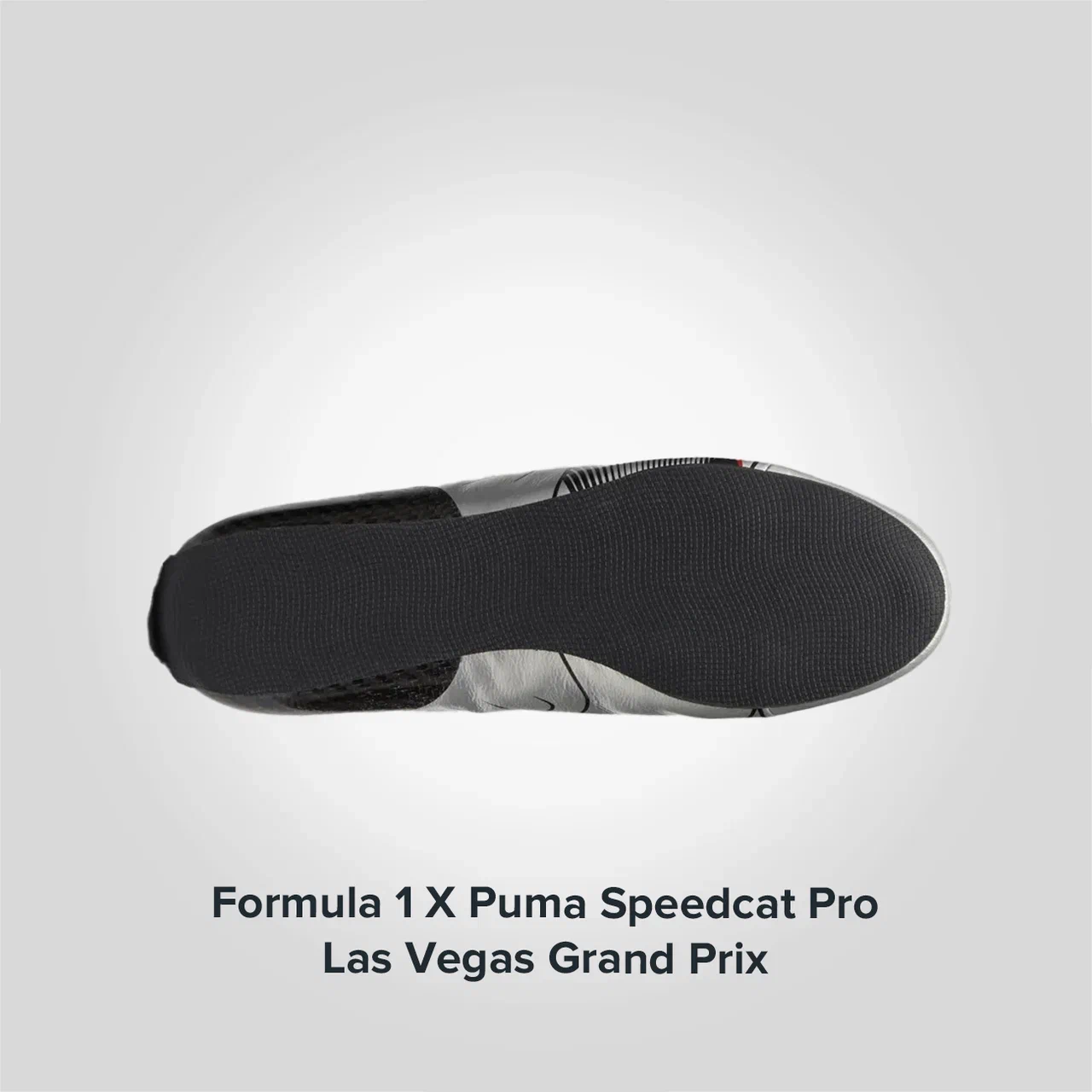 Formula 1 X Speedcat Pro Las Vegas Grand Prix