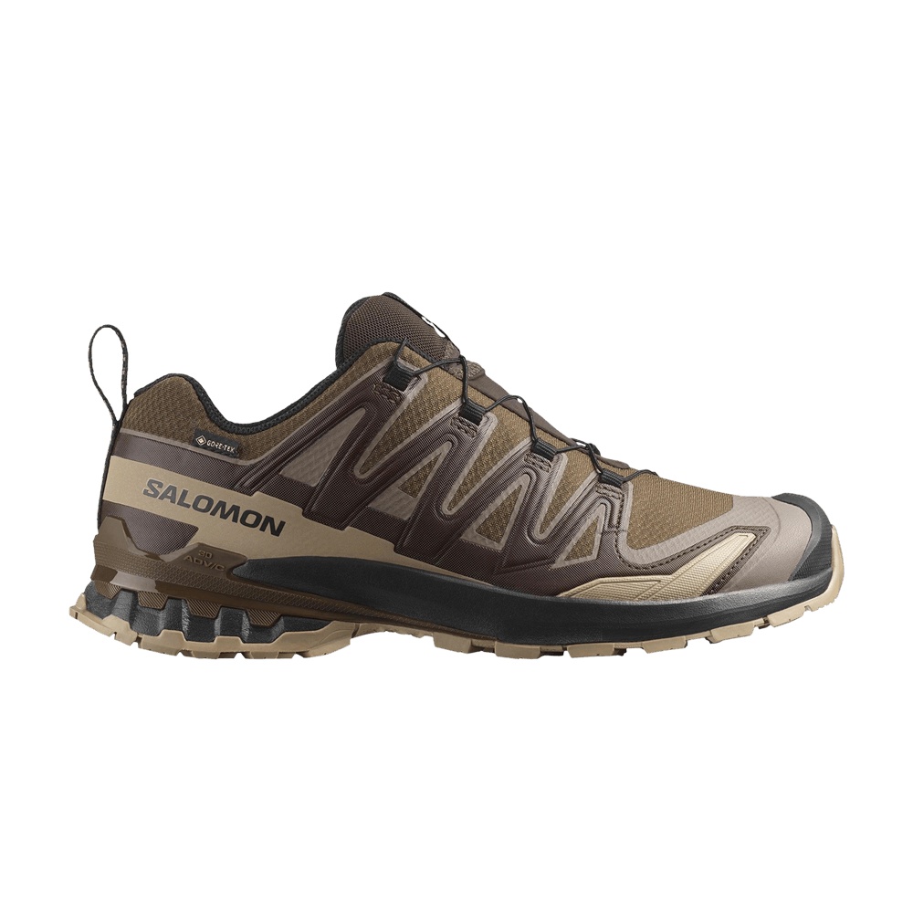 Salomon XA Pro 3D V9 GORE-TEX 'Dark Earth'