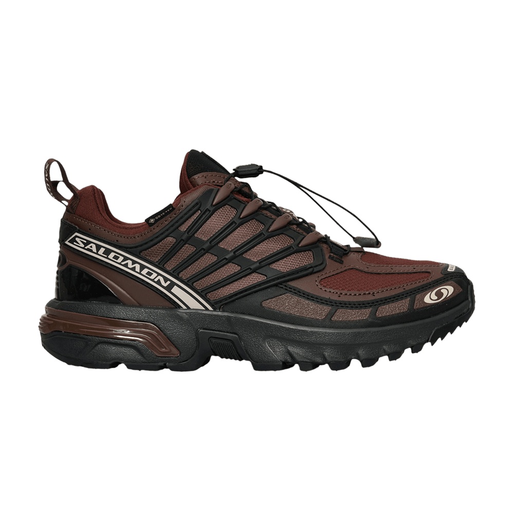 Salomon ACS Pro GORE-TEX 'Clay Rum Raisin'