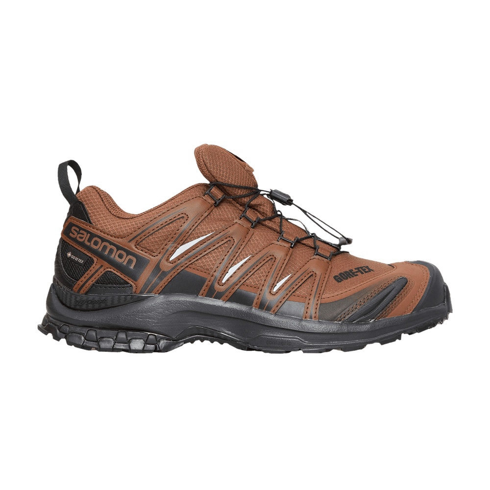 Salomon and wander x XA Pro 3D GORE-TEX 'Dark Earth Black'