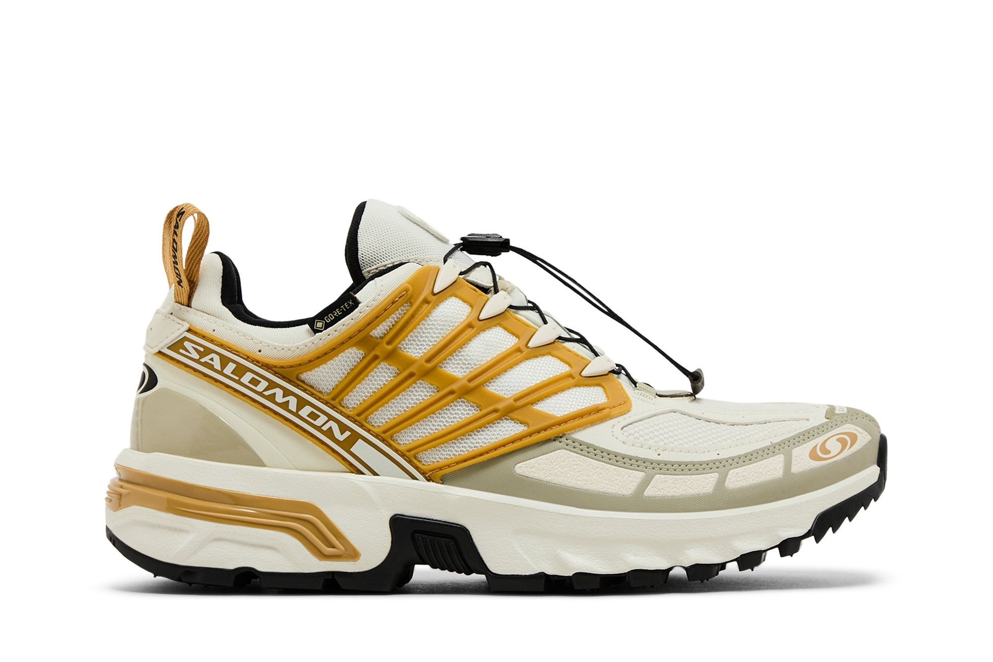 Salomon ACS Pro GORE-TEX 'Icicle Antelope'