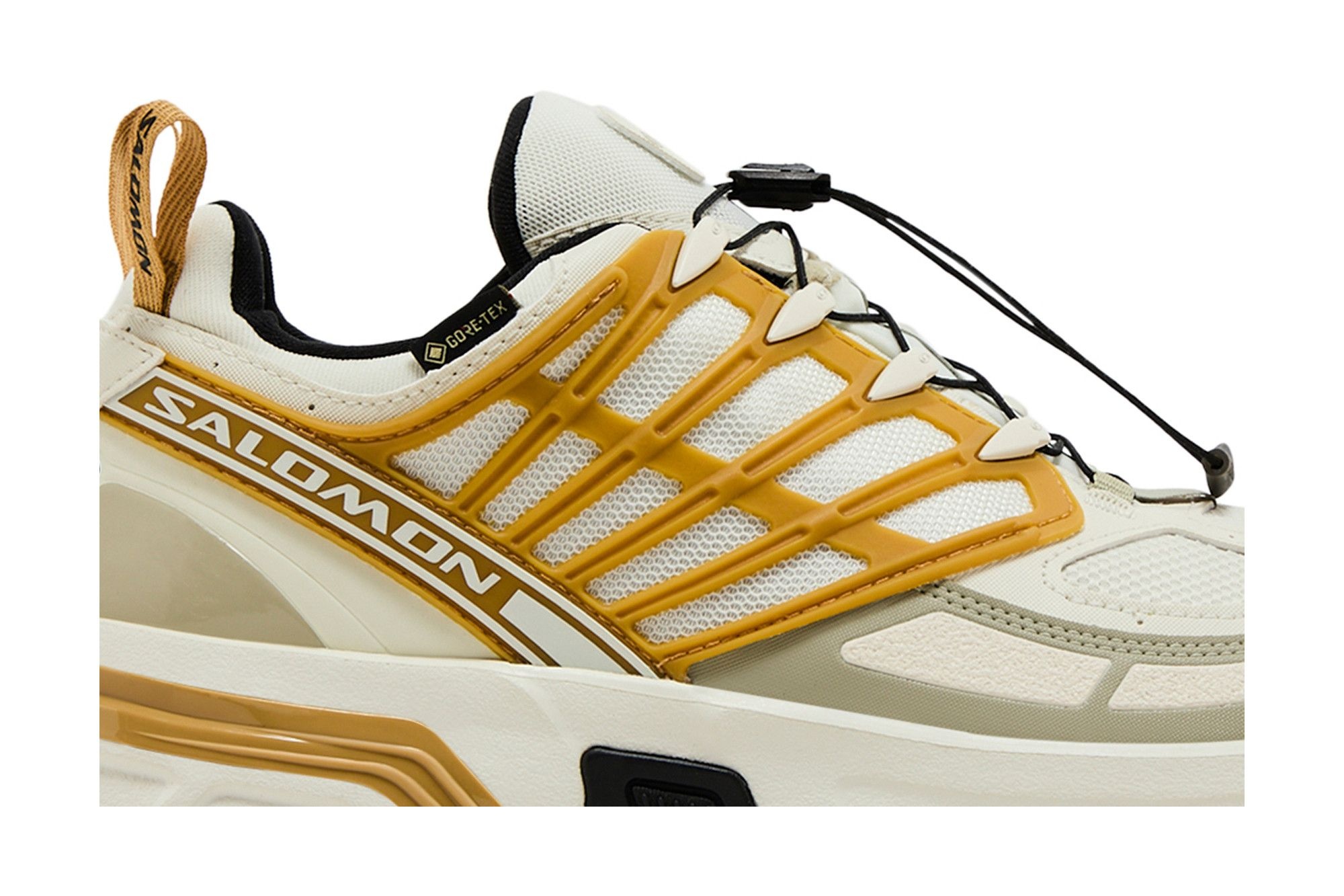 Salomon ACS Pro GORE-TEX 'Icicle Antelope'