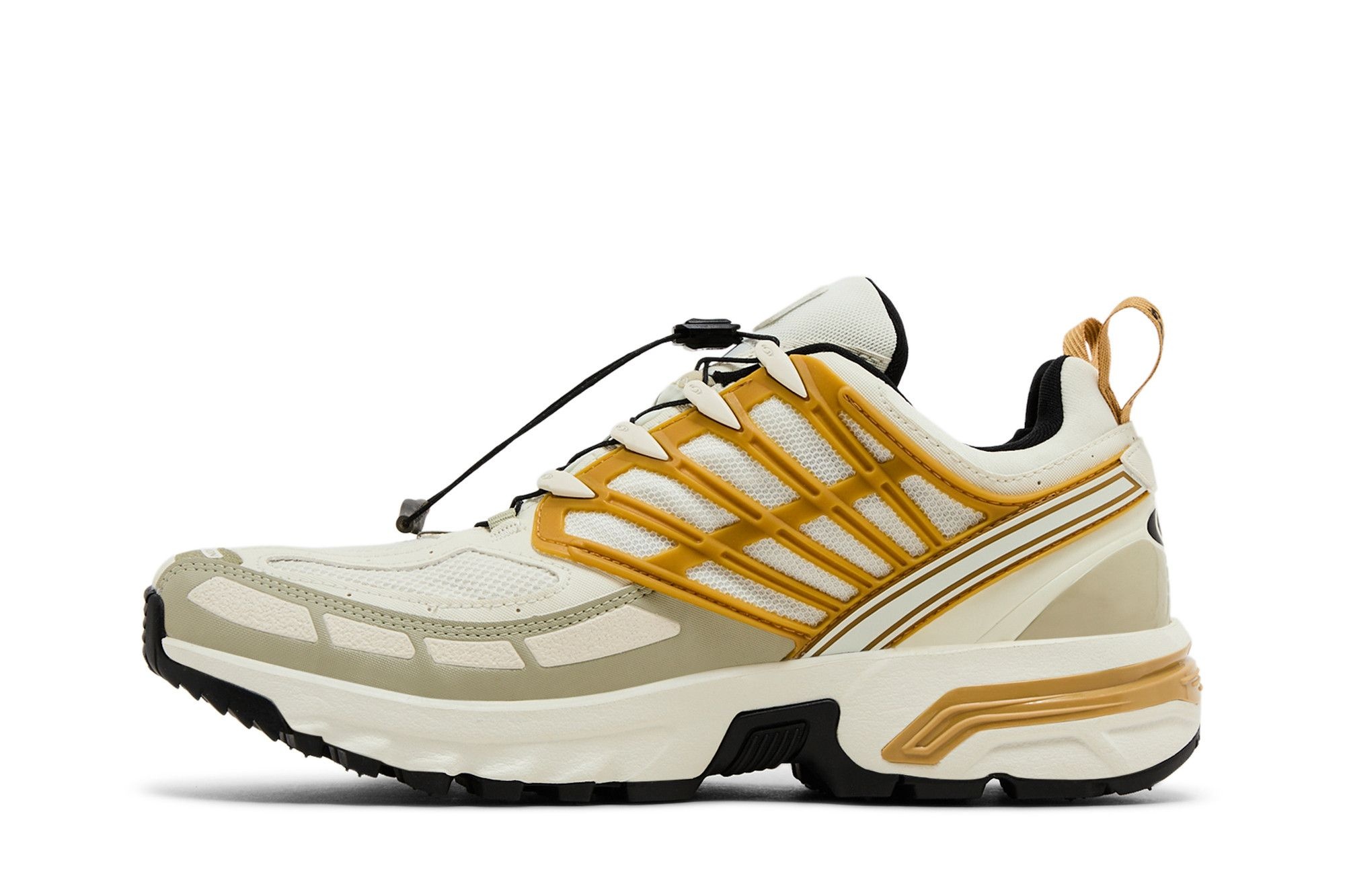 Salomon ACS Pro GORE-TEX 'Icicle Antelope'