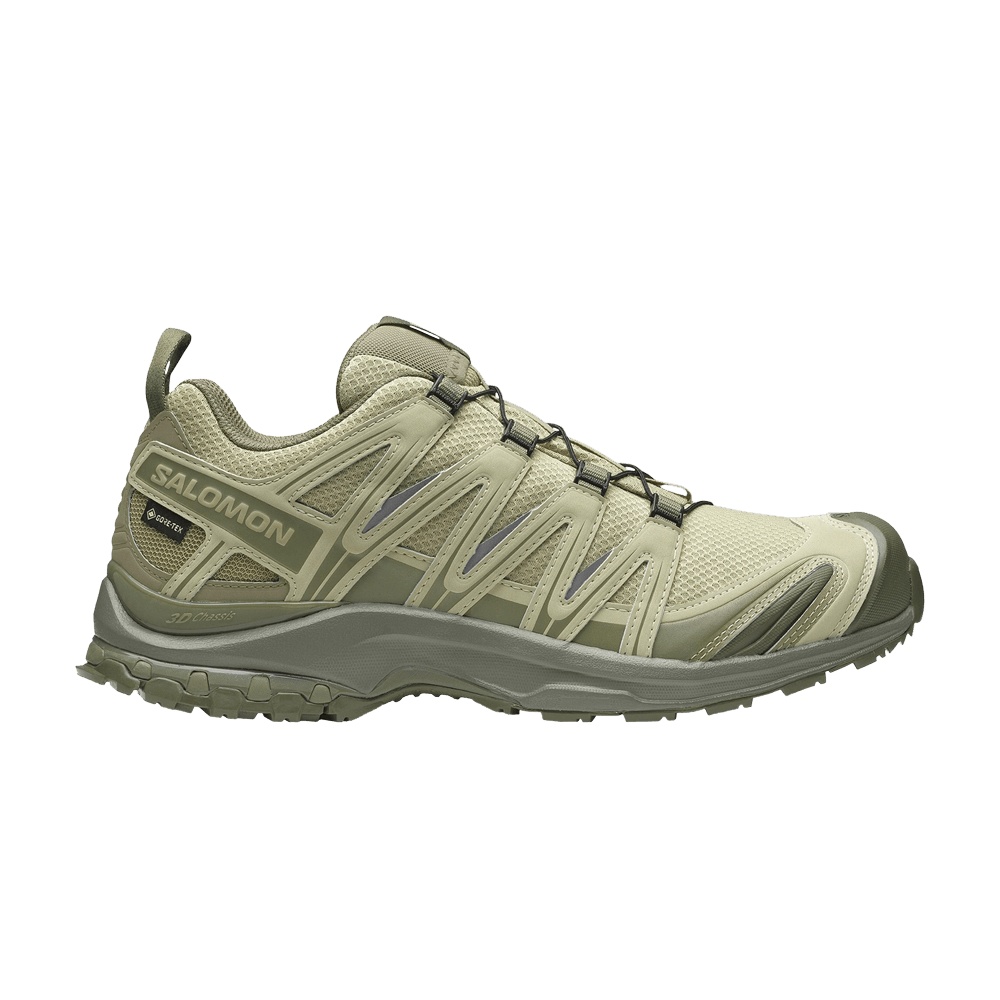 Salomon XA Pro 3D GORE-TEX 'Grey Green'