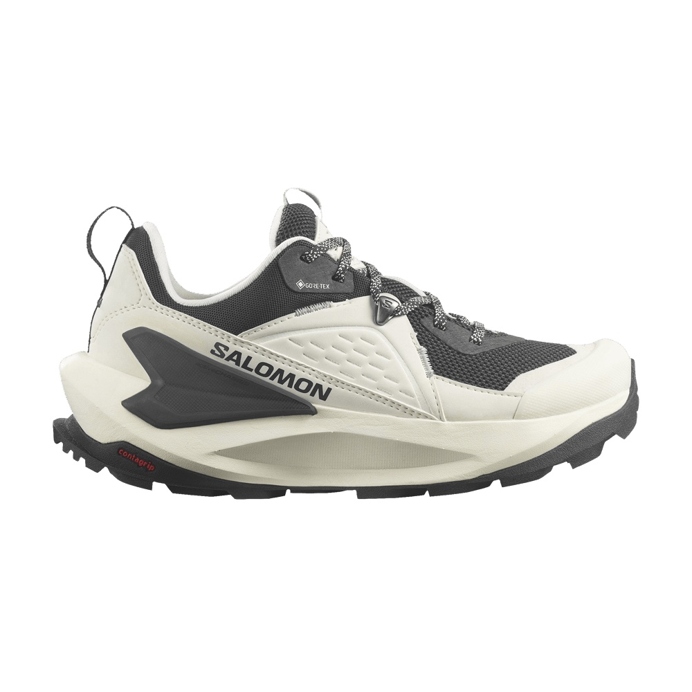 Salomon Wmns Elixir GORE-TEX 'Vanilla Ice Metal'