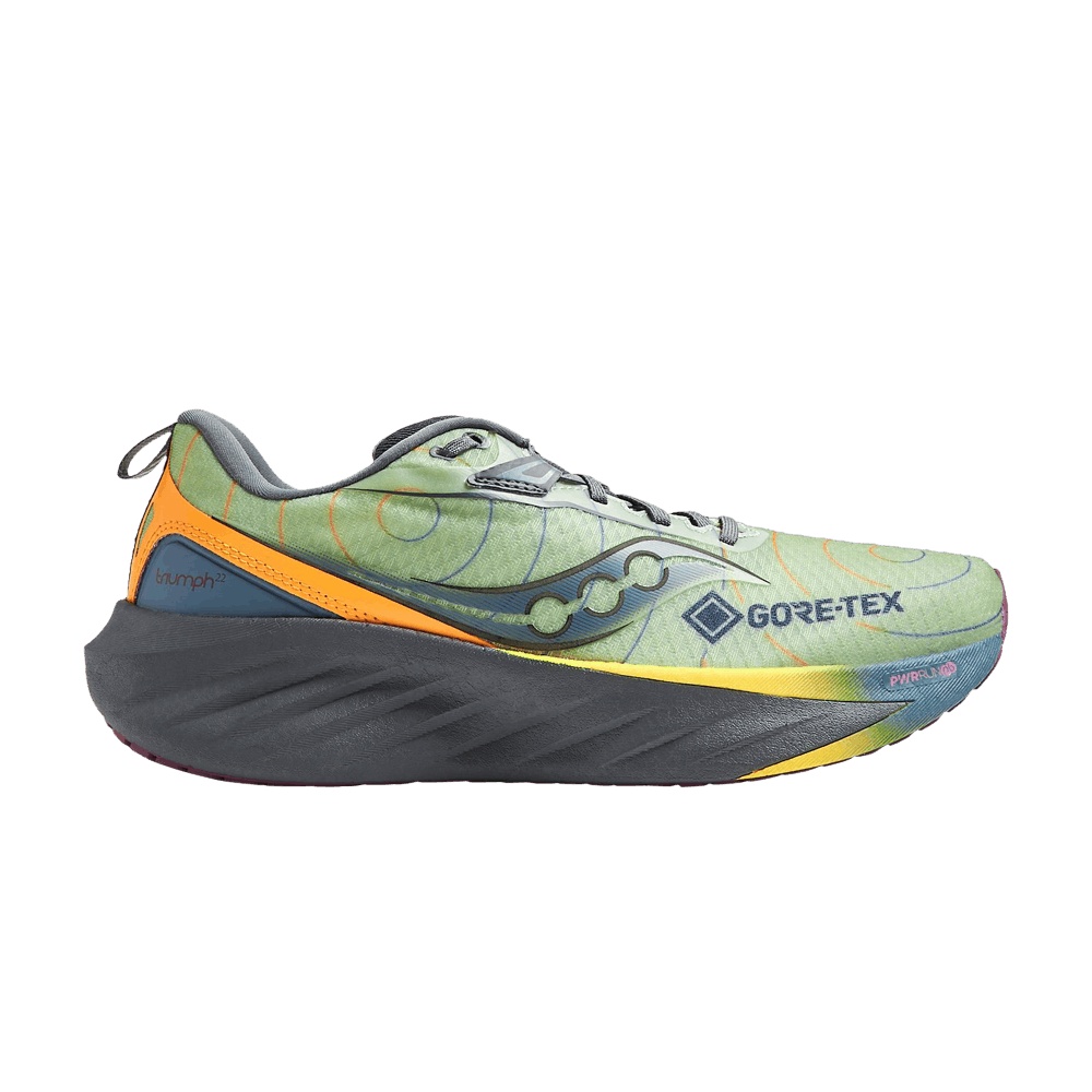 Saucony Triumph 22 GORE-TEX 'Sage Carbon'
