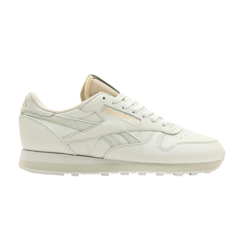 Aries x Reebok Classic Leather 'Mystic's Shoe'