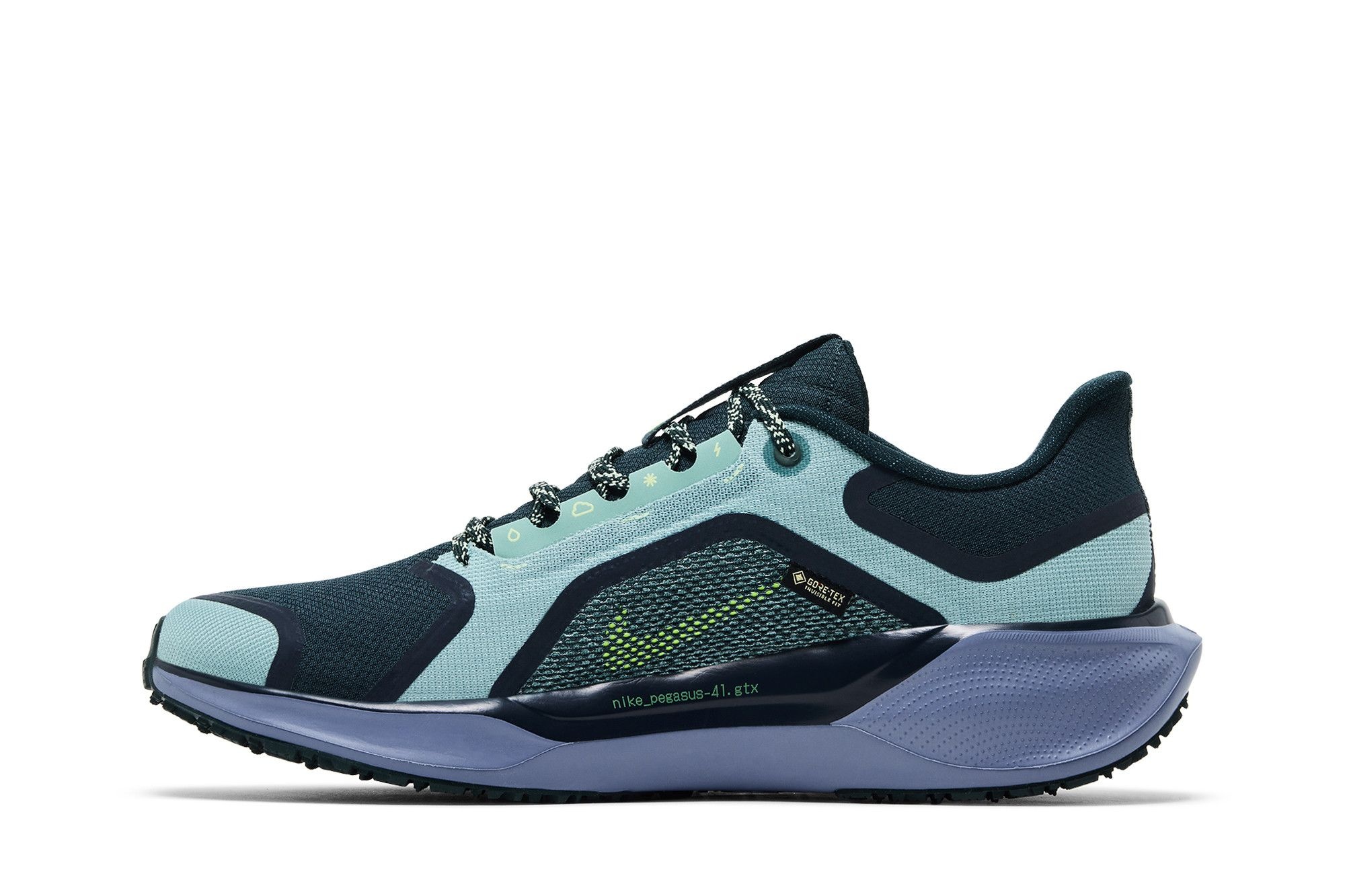 Nike Air Zoom Pegasus 41 GORE-TEX 'Cannon Obsidian'