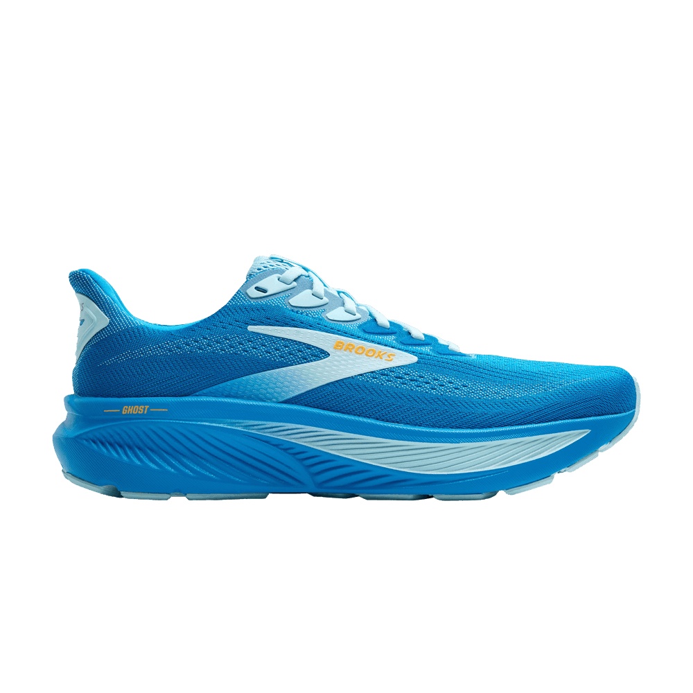 Brooks Ghost 17 'Cloissone'